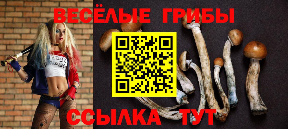 Галлюциногенные грибы GOLDEN TEACHER Аксай