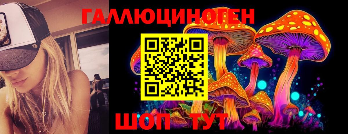 Аксай  даркнет сайт  Вход с VPN  Галлюциногенные грибы прущие грибы  Псилоцибиновые грибы MAGIC MUSHROOMS 
